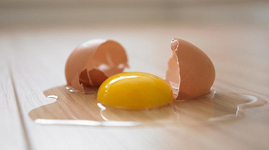 מהי האמת לגבי הסיכונים באכילת ביצים