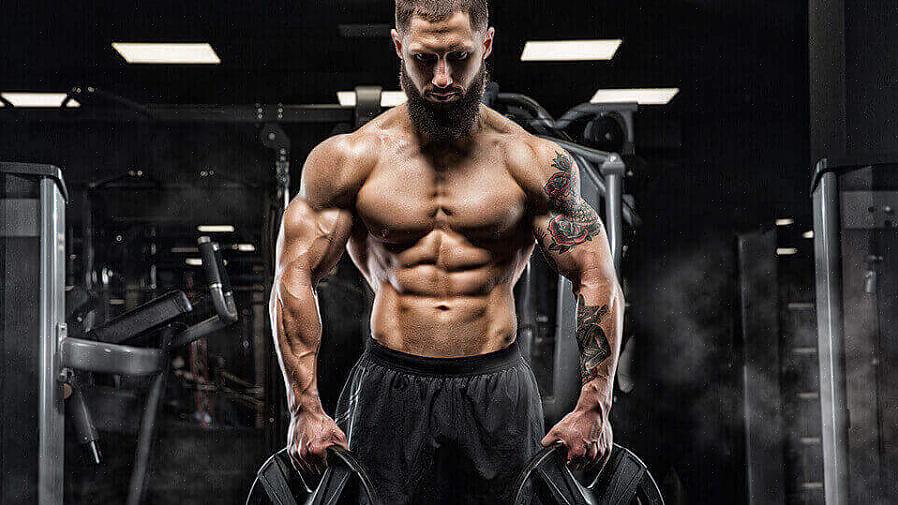 הוכח ש-HMB מגביר כוח ומשפר את הרכב הגוף