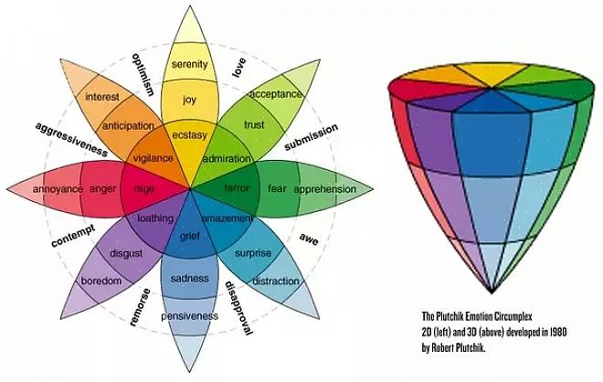 שגרת 21 יום לגוף המושלם