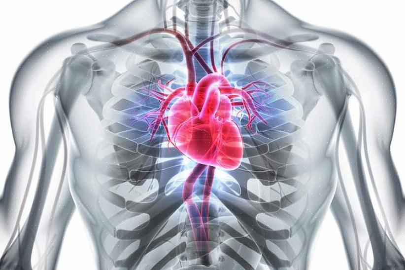 ספורט משפר את זרימת הדם שלנו וזה יכול למנוע הופעת דליות