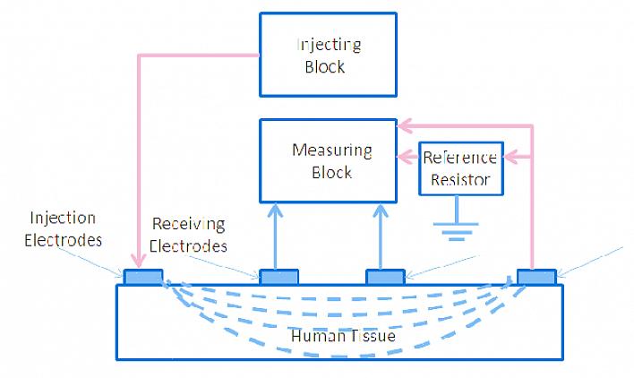 למרות שחישוב אחוזי השומן בגוף באמצעות עכבה ביולוגית הוא די אמין