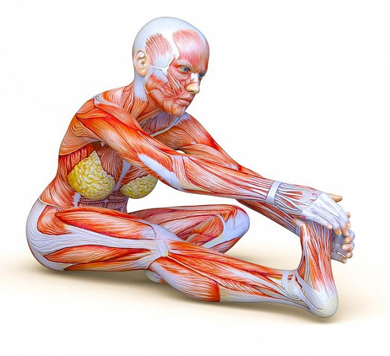 כדי להגביר את הגמישות שלך