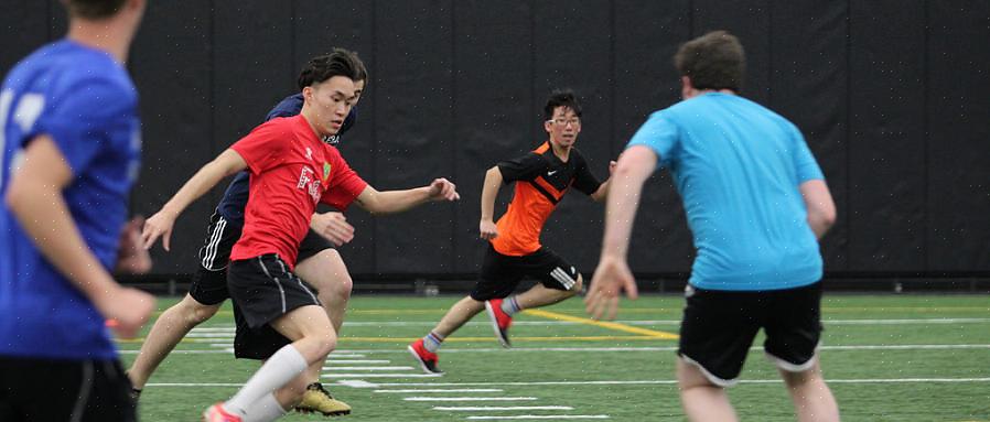 בתי ספר לספורט הם נדבך בסיסי לקידום פעילות גופנית וספורט במדינות רבות