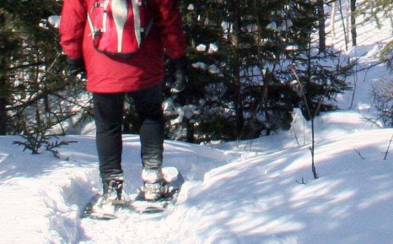 מוטות טרקים מיוחדים עבור נעלי שלג זמינים כעת