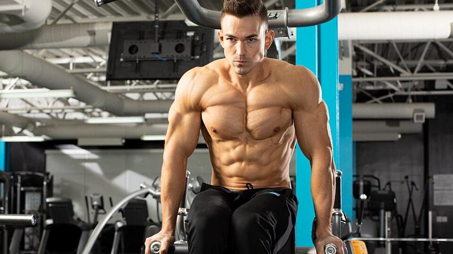 דרך האימון היא באמת יעילה ודינמית