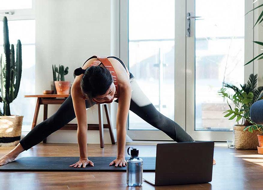 המאמנים האישיים הטובים ביותר ביוטיוב