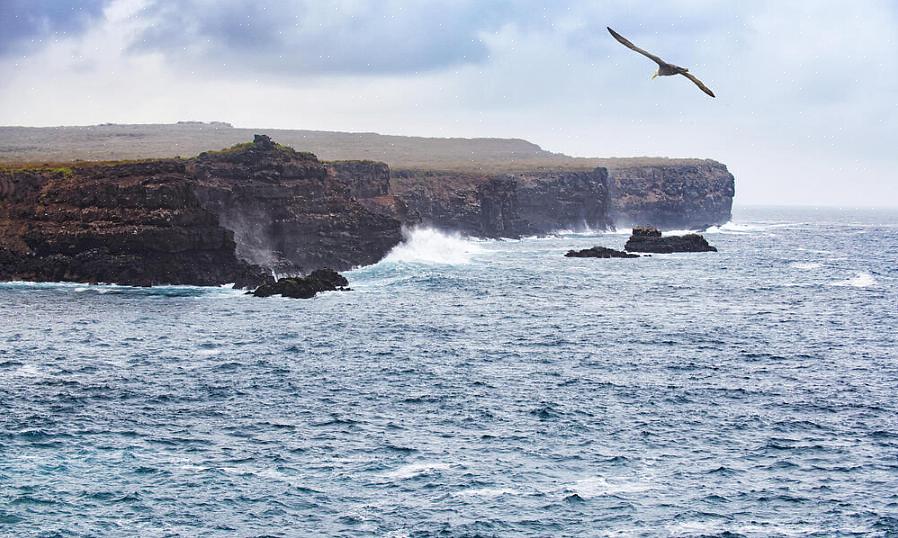 האדם הראשון שהצליח להשיג את אתגר שבעת האוקיינוסים היה השחיין האירי סטפן רדמונד