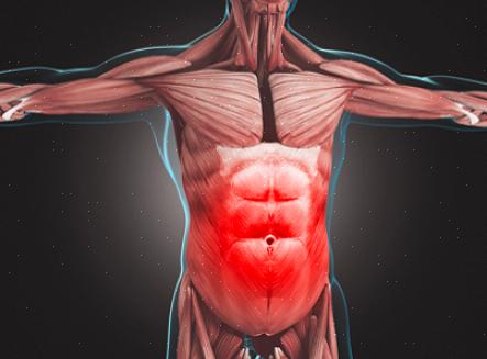 בית החזה: שרירים בין צלעיים