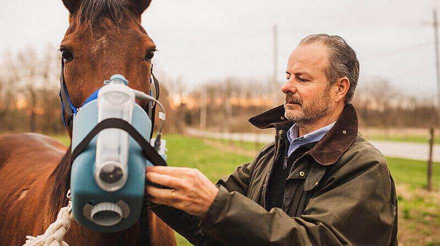 ננתח כיצד אלרגיות משפיעות על הביצועים שלך בספורט