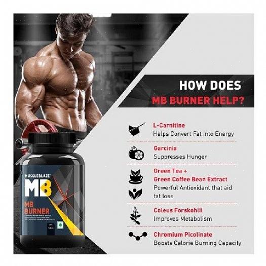 מרכיבים עיקריים המצויים בשורפי שומן