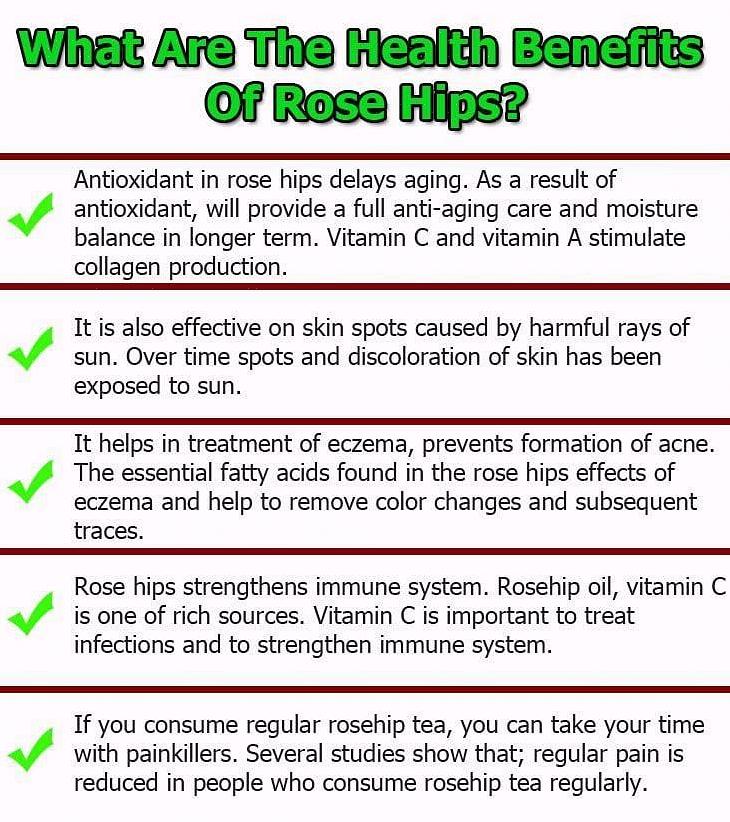 האם אתה מודע ליתרונות הבריאותיים של שושנה