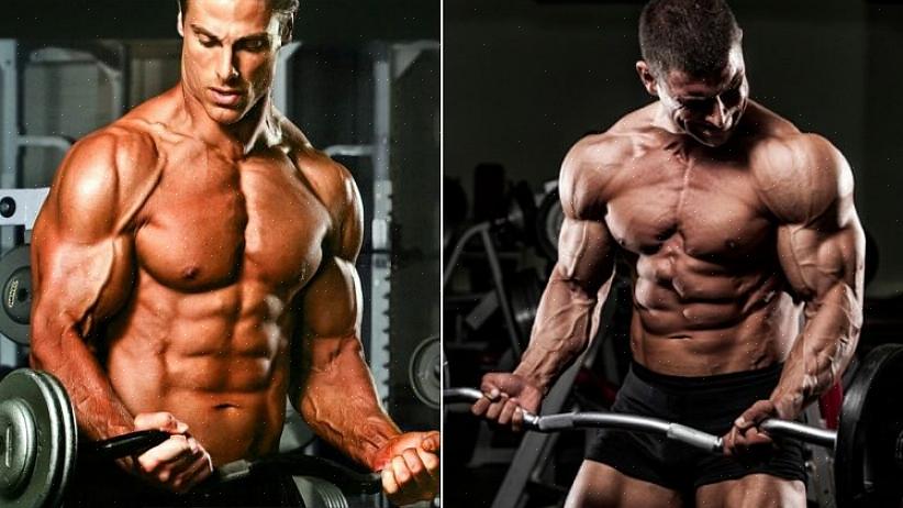 במאמר זה נסקור את התוספים האידיאליים לפיתוח גוף בקיץ