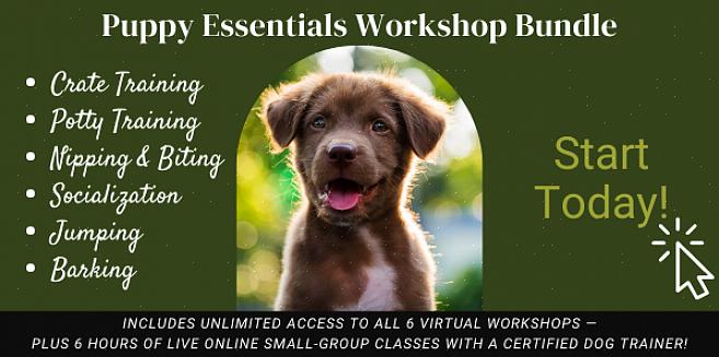 סיבות להמשיך להתאמן