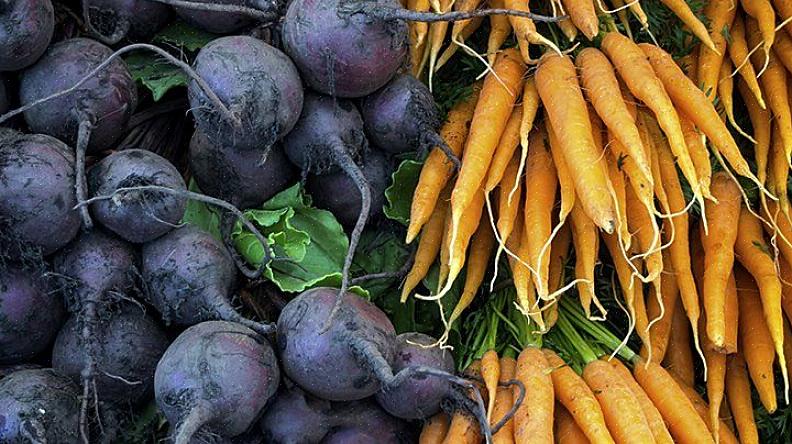 הטיפ הראשון שנציע כיצד להילחם בכאבים הוא שלא צריך להילחם בהם