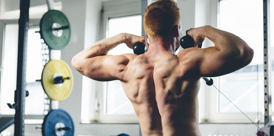 אימון לכתפי סופר