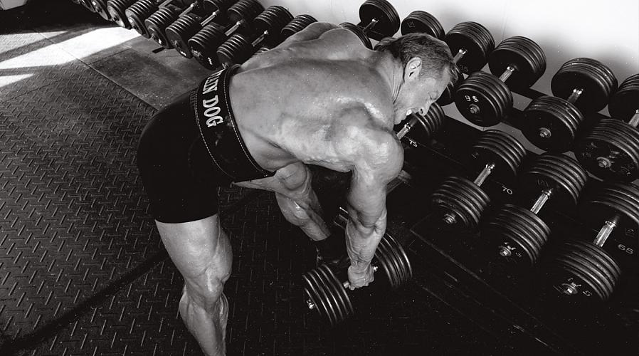 האימונים של קפטן אירופה: אימוני סלבריטאים