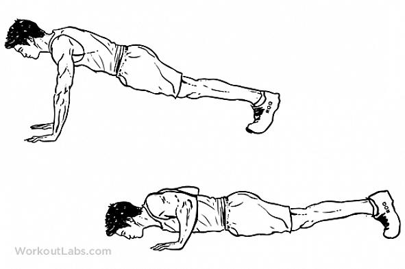 כלול סוגים שונים של שכיבות סמיכה בשגרה שלך