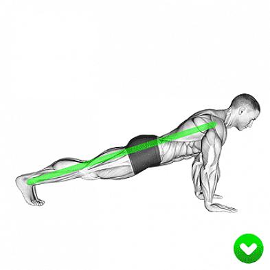 שגרת האימון הדינמית המושלמת עם שכיבות סמיכה ובטן